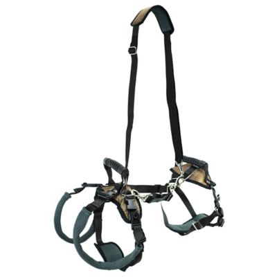 Image showing  Lifting Aid Full-Body Dog Harness