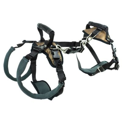 Image showing  Lifting Aid Full-Body Dog Harness
