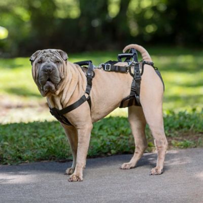 Image showing 5 th PetSafe Lifting Aid Full-Body Dog Harness