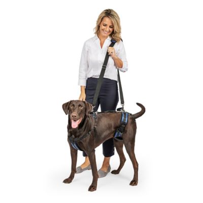 PetSafe Lifting Aid Full-Body Dog Harness