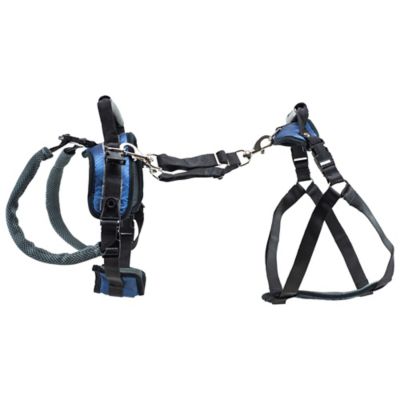 Image showing  Lifting Aid Full-Body Dog Harness