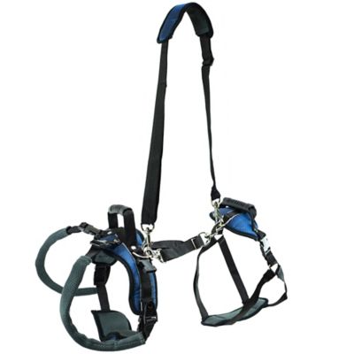 Image showing 5 th PetSafe Lifting Aid Full-Body Dog Harness