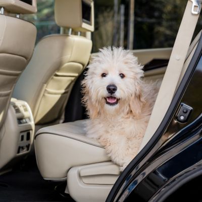 Image showing  Happy Ride Dog Ramp Adaptor