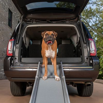 PetSafe Happy Ride Compact Telescoping Dog Ramp