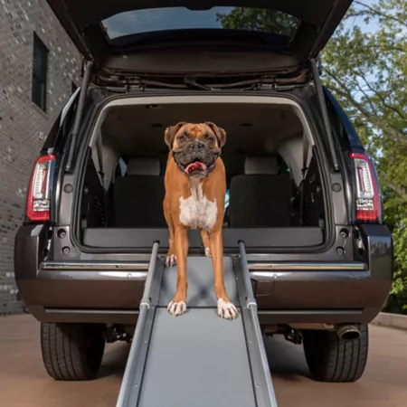 PetSafe Happy Ride Compact Telescoping Dog Ramp for Dogs up to 300 lbs 28 in - 70 in. Automotive Pet Steps & Ramps