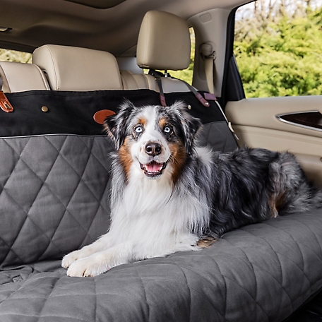 PetSafe Happy Ride Quilted Pet Bench Seat Cover, Compatible with Cars, Trucks and SUVs that Measure 45 in. and 56 in.