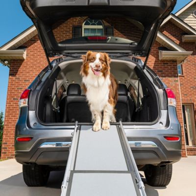 Telescoping dog outlet ramp