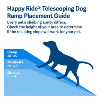 Image showing 5 th PetSafe Happy Ride Telescoping Dog Ramp for Dogs Up to 400 lb., 39 - 72 in.