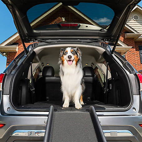 PetSafe UltraLite Bi-Fold Pet Ramp, 62 in, Portable Lightweight Dog and Cat Ramp, Great for Cars, Trucks and SUVs