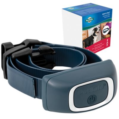 Petsafe training outlet collar