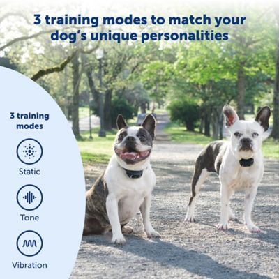 Image showing  300 yd. Lite Add-A-Dog Remote Dog Training Collar, Waterproof, 15 Levels Stimulation, For 8 lb. or Smaller Dogs