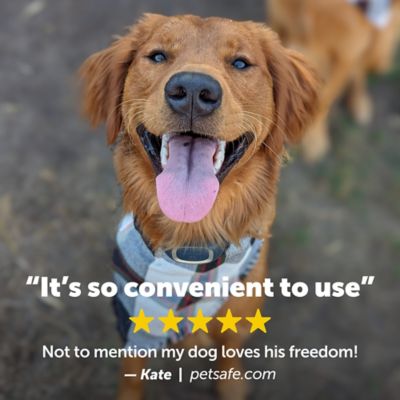 Image showing  300 yd. Lite Add-A-Dog Remote Dog Training Collar, Waterproof, 15 Levels Stimulation, For 8 lb. or Smaller Dogs