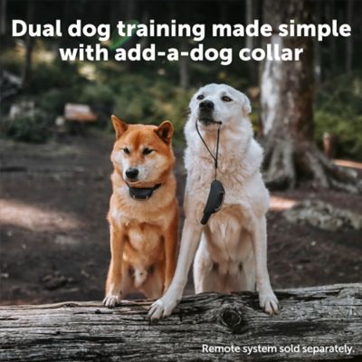 Image showing  300 yd. Lite Add-A-Dog Remote Dog Training Collar, Waterproof, 15 Levels Stimulation, For 8 lb. or Smaller Dogs