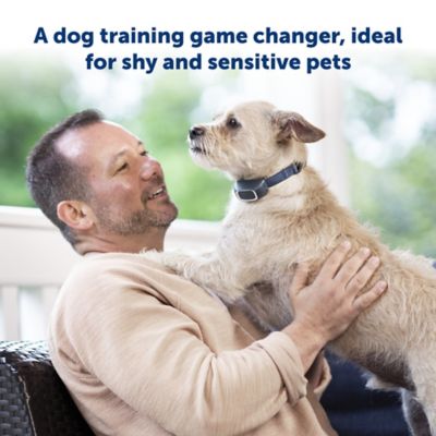 Image showing  300 yd. Lite Add-A-Dog Remote Dog Training Collar, Waterproof, 15 Levels Stimulation, For 8 lb. or Smaller Dogs