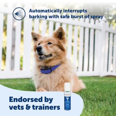 Image showing  Unscented Spray Refill Can