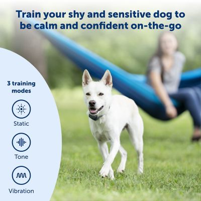 Image showing  Lite Rechargeable 300 yd. Range Remote Dog Trainer