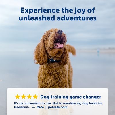 Image showing  Lite Rechargeable 300 yd. Range Remote Dog Trainer