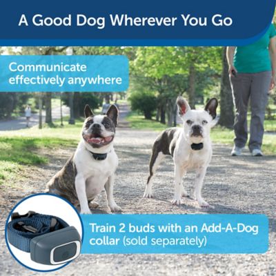 Image showing  600 yd. Lite Remote Dog Training Collar