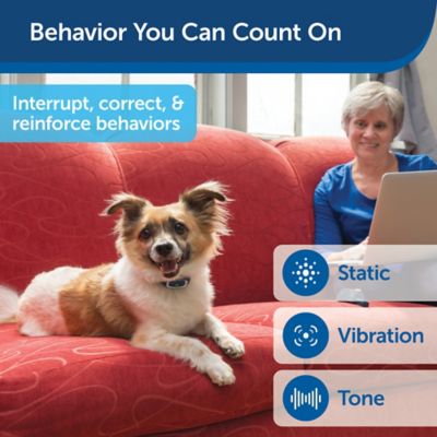 Image showing  100 yd. Lite Remote Dog Training Collar, For Dogs 8 lb. or Larger, Neck Sizes 6 to 23 in.