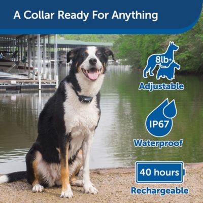 Image showing  100 yd. Lite Remote Dog Training Collar, For Dogs 8 lb. or Larger, Neck Sizes 6 to 23 in.