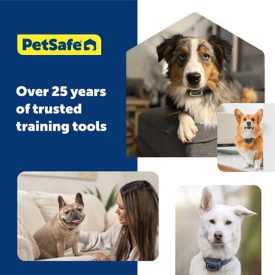 Image showing 5 th PetSafe 100 yd. Lite Remote Dog Training Collar, For Dogs 8 lb. or Larger, Neck Sizes 6 to 23 in.
