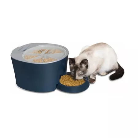 PetSafe Automatic Pet Food Dispenser Programmable 6 Meals Plastic Feeder Compatible with Dry Kibble or Semi-Moist Pet Food Pet Automatic Feeders