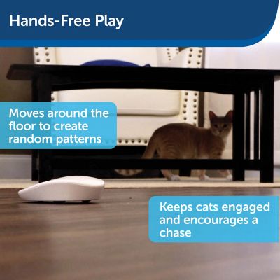Image showing  Laser Tail Cat Toy, Fun and Safe Laser Light Game for Cats