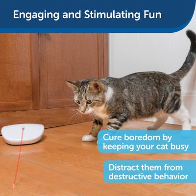 Image showing  Laser Tail Cat Toy, Fun and Safe Laser Light Game for Cats