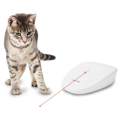 Image showing 7 th PetSafe Laser Tail Cat Toy, Fun and Safe Laser Light Game for Cats