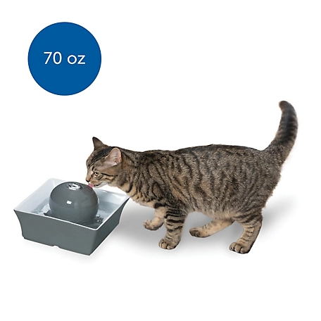 PetSafe Drinkwell Seascape Ceramic Pet Water Fountain for Cats and Small Dogs, 70 oz.