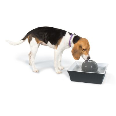 Image showing 6 th PetSafe Drinkwell Seascape Pet Fountain, 70 oz.