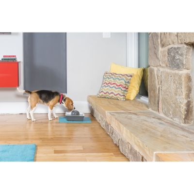 Image showing 7 th PetSafe Drinkwell Seascape Pet Fountain, 70 oz.
