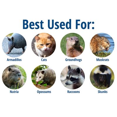 Image showing  1-Door Easy Set Large Live Animal Trap