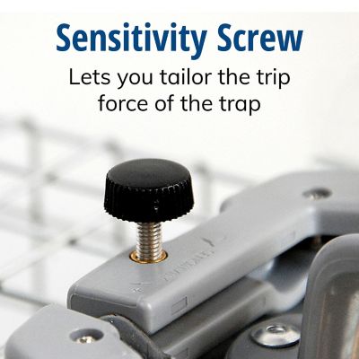 Image showing  1-Door Easy Set Large Live Animal Trap