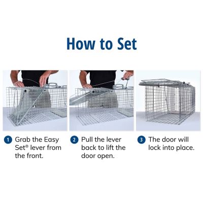 Image showing 5 th Havahart 1-Door Easy Set Large Live Animal Trap