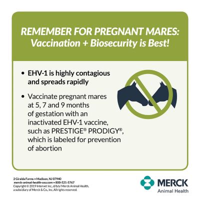 Image showing  3 WNV Horse Vaccine, 1 Dose