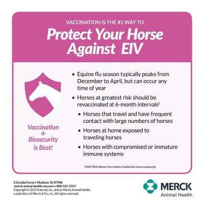 Image showing  3 WNV Horse Vaccine, 1 Dose