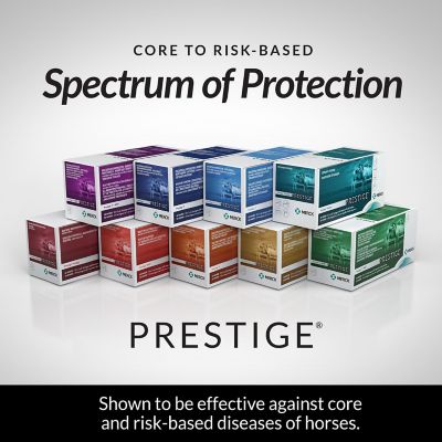 Image showing  WNV Horse Vaccine, 1 Dose