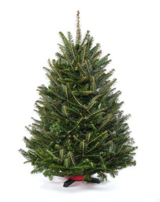 Cottage Farms Direct 2 5 3 5 Ft Fresh Fraser Fir Table Top Real Christmas Tree With Stand At Tractor Supply Co