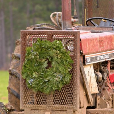 image of a Fresh Christmas Wreaths