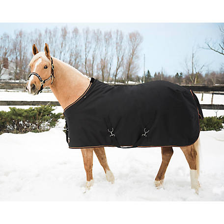 Winter Horse Blankets >> Kensington All Around Winter Turnout Blanket At Tractor Supply Co Winter Horse Blankets >> Kensington All Around Winter Turnout Blanket At Tractor Supply Co