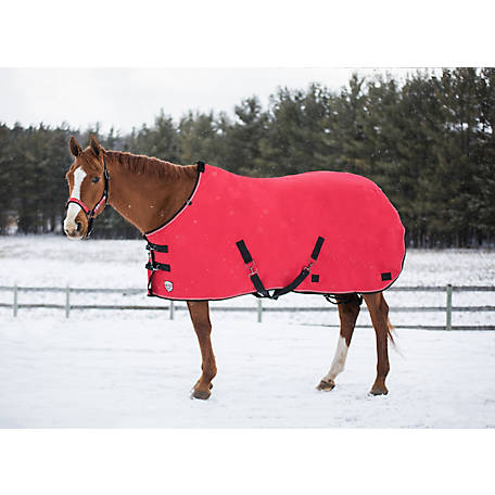Winter Horse Blankets >> Kensington All Around Winter Turnout Blanket At Tractor Supply Co Winter Horse Blankets >> Kensington All Around Winter Turnout Blanket At Tractor Supply Co