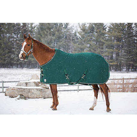 Winter Horse Blankets >> Kensington All Around Winter Turnout Blanket At Tractor Supply Co Winter Horse Blankets >> Kensington All Around Winter Turnout Blanket At Tractor Supply Co