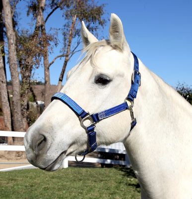 Product color Kentucky Blue