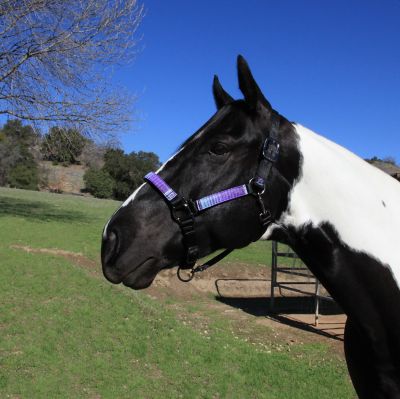 Product color Lavender Mint