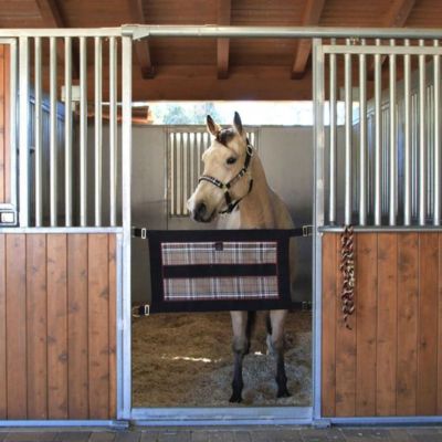 Image showing  21 in. Stall Guard with Hardware, Lavender/Mint