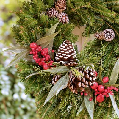 Cottage Farms Direct Fresh Cut 24 In Bayberry Frosted Evergreen Holiday Wreath Cottage Hill At Tractor Supply Co