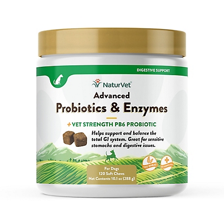 NaturVet Advanced Probiotics and Enzymes Digestive Supplement for Dogs, 2.4g, 120 ct.