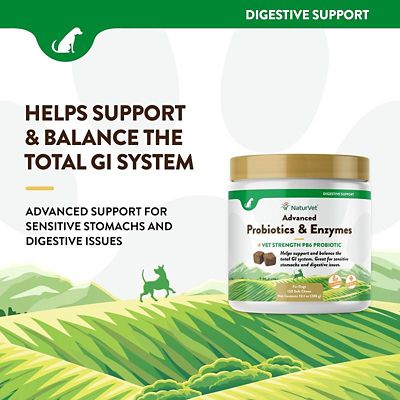 Image showing  Advanced Probiotics and Enzymes Digestive Supplement Tablets for Dogs, 2.4g, 120 ct.