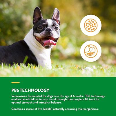 Image showing  Advanced Probiotics and Enzymes Digestive Supplement Tablets for Dogs, 2.4g, 120 ct.